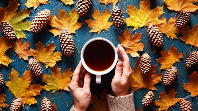 Read more about the article Boost Your Mood This Autumn