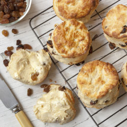 Sultana Scones